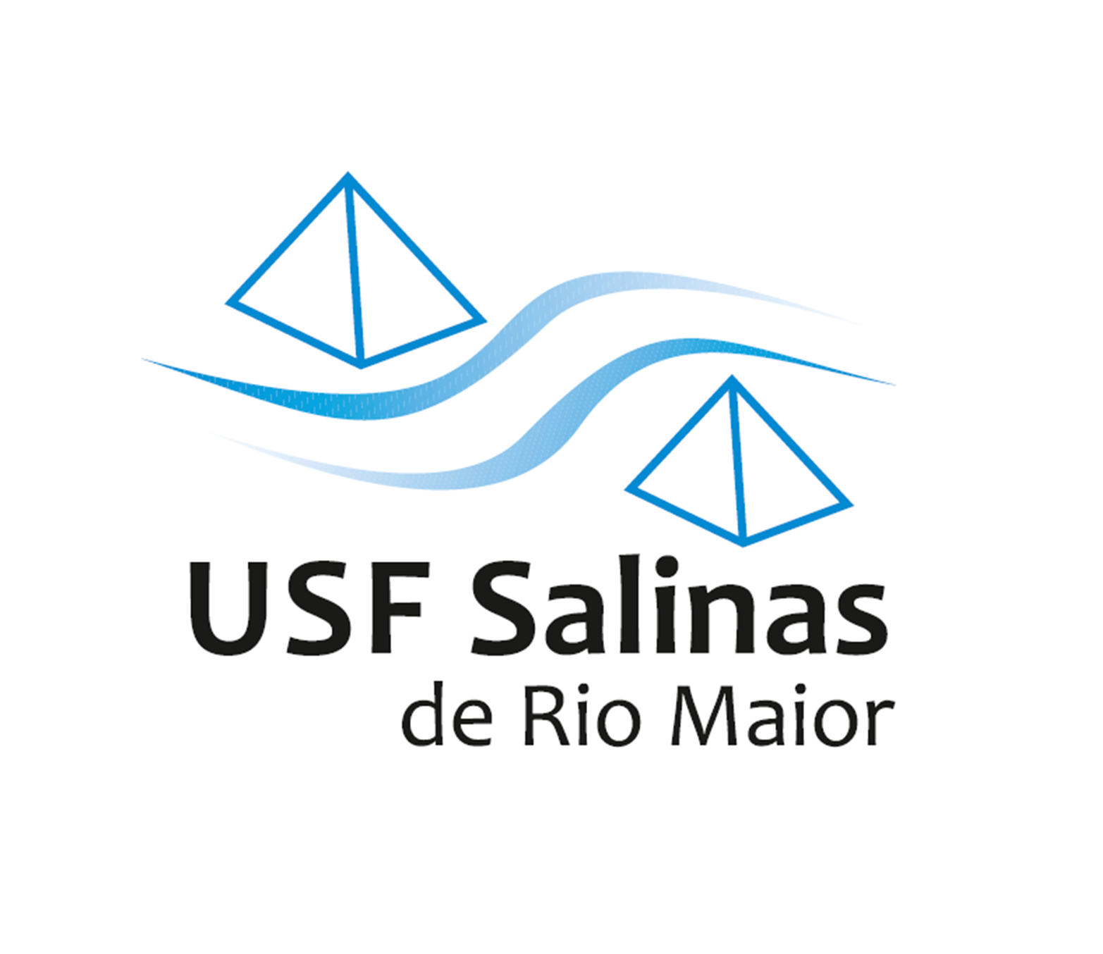 USF Salinas.png